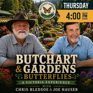 Butchart Gardens & Butterflies